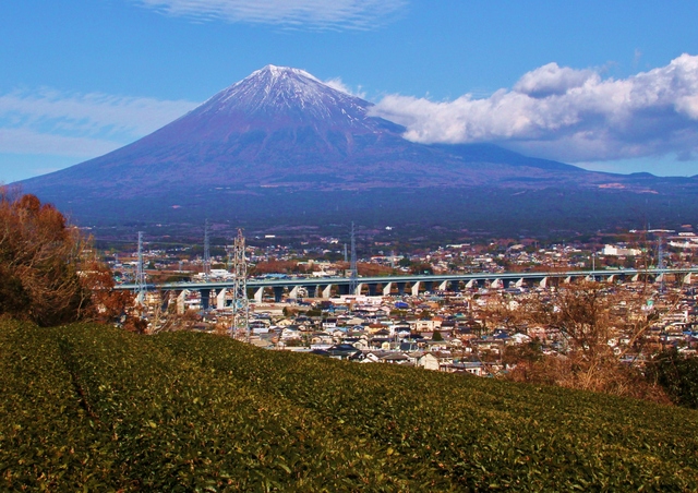 新東名で富士山が見えるおすすめのサービスエリア 実は一箇所だけ こころぐ