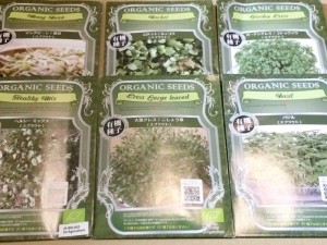 スプラウト　種　有機種子　オーガニック　グリーンフィールドプロジェクト　Amazon　通販　ブロッコリースプラウト